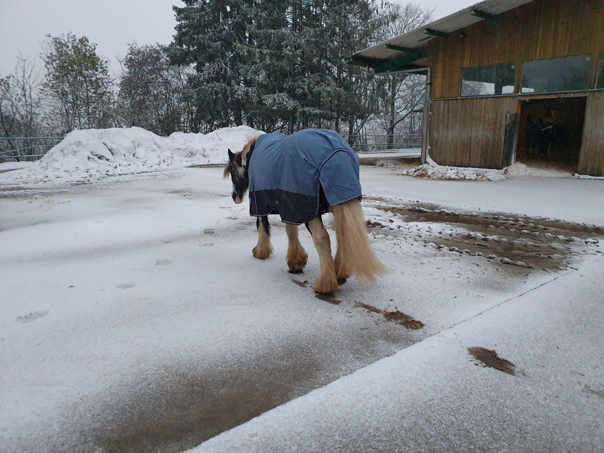 2023 11 November 611